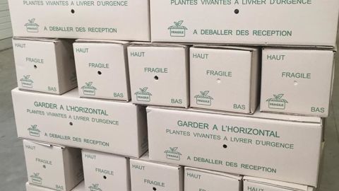 La vente en ligne et la livraison de plantes sont soumises à de nombreux aléas. ©Léna Hespel